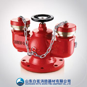 多用式地下消防水泵接合器